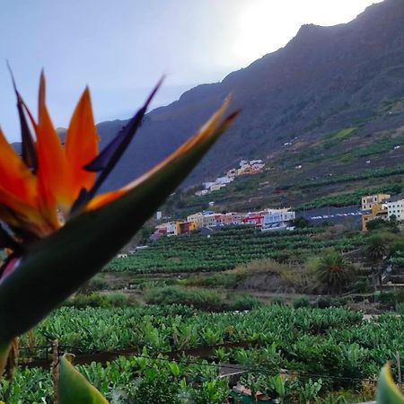 Casa Rural La Pitanga エルミグア エクステリア 写真