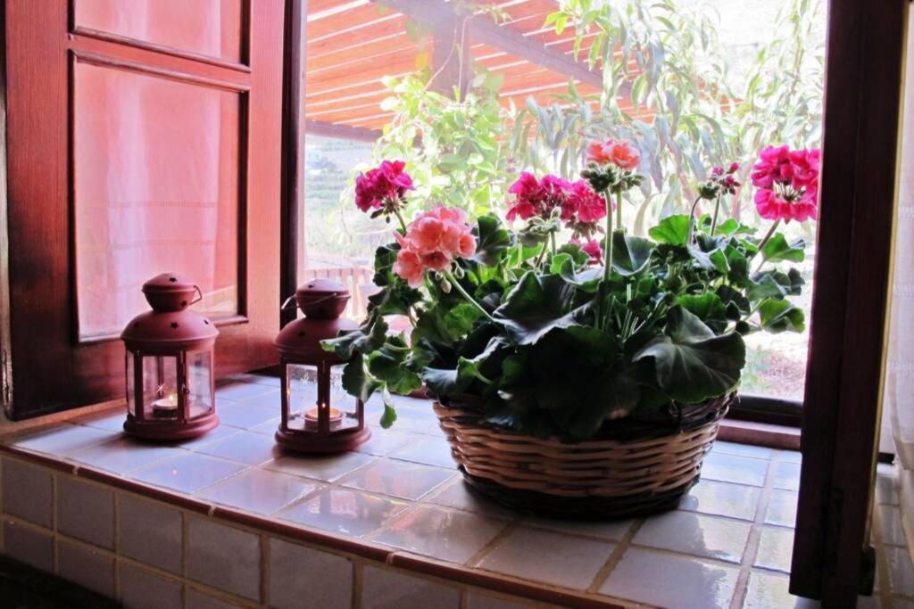 Casa Rural La Pitanga エルミグア エクステリア 写真