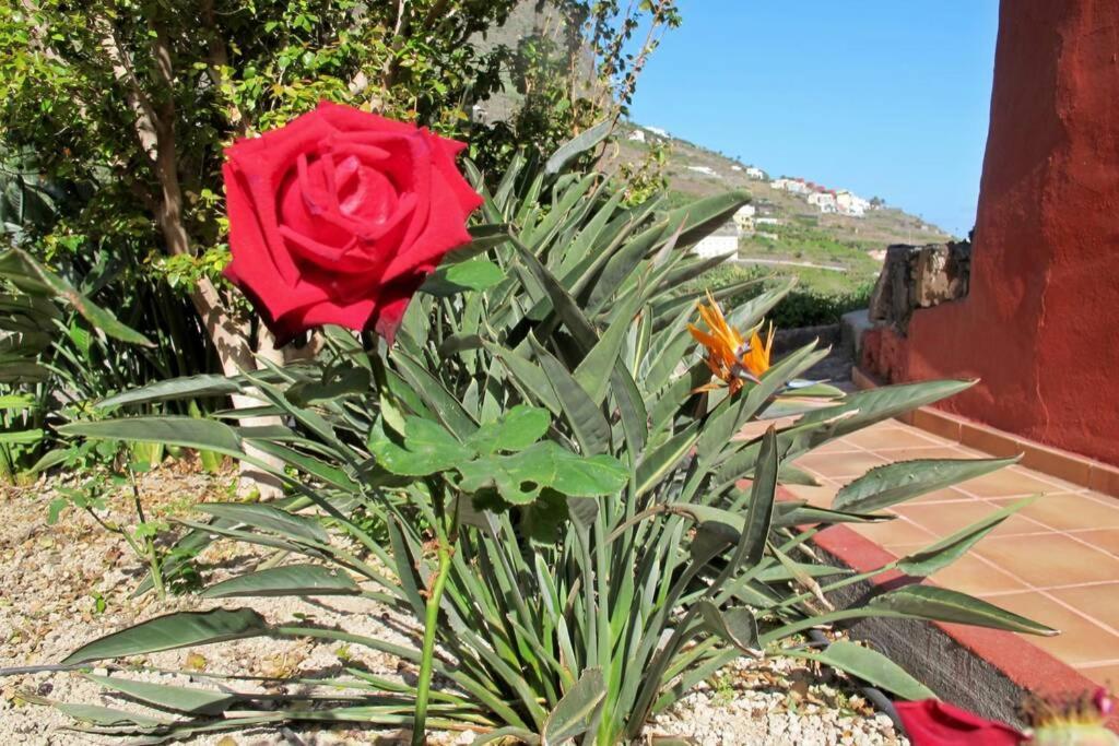 Casa Rural La Pitanga エルミグア エクステリア 写真