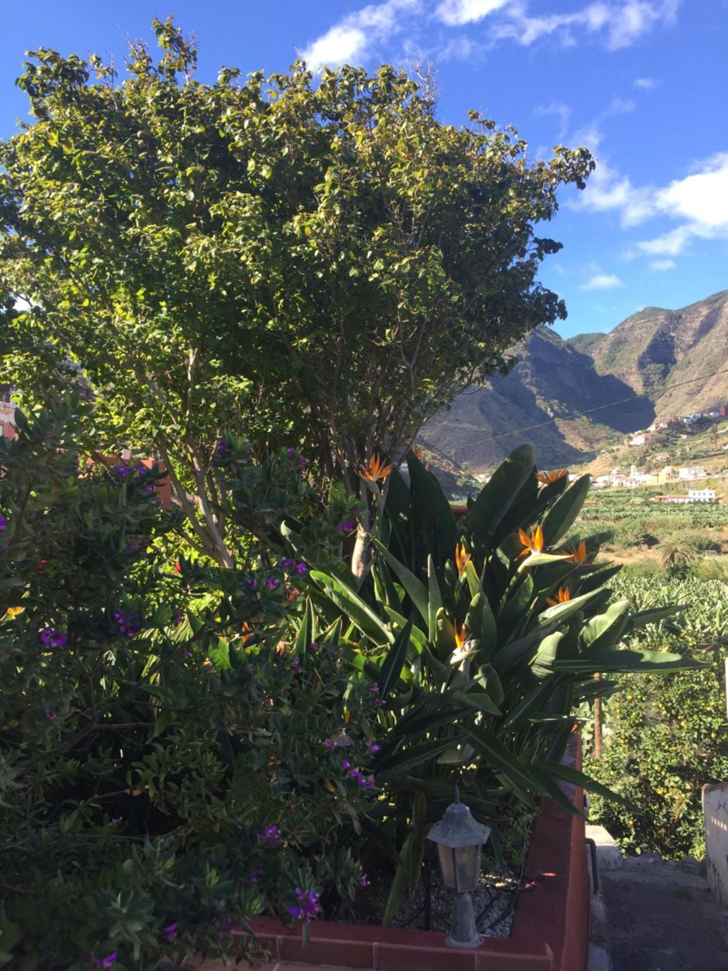 Casa Rural La Pitanga エルミグア エクステリア 写真