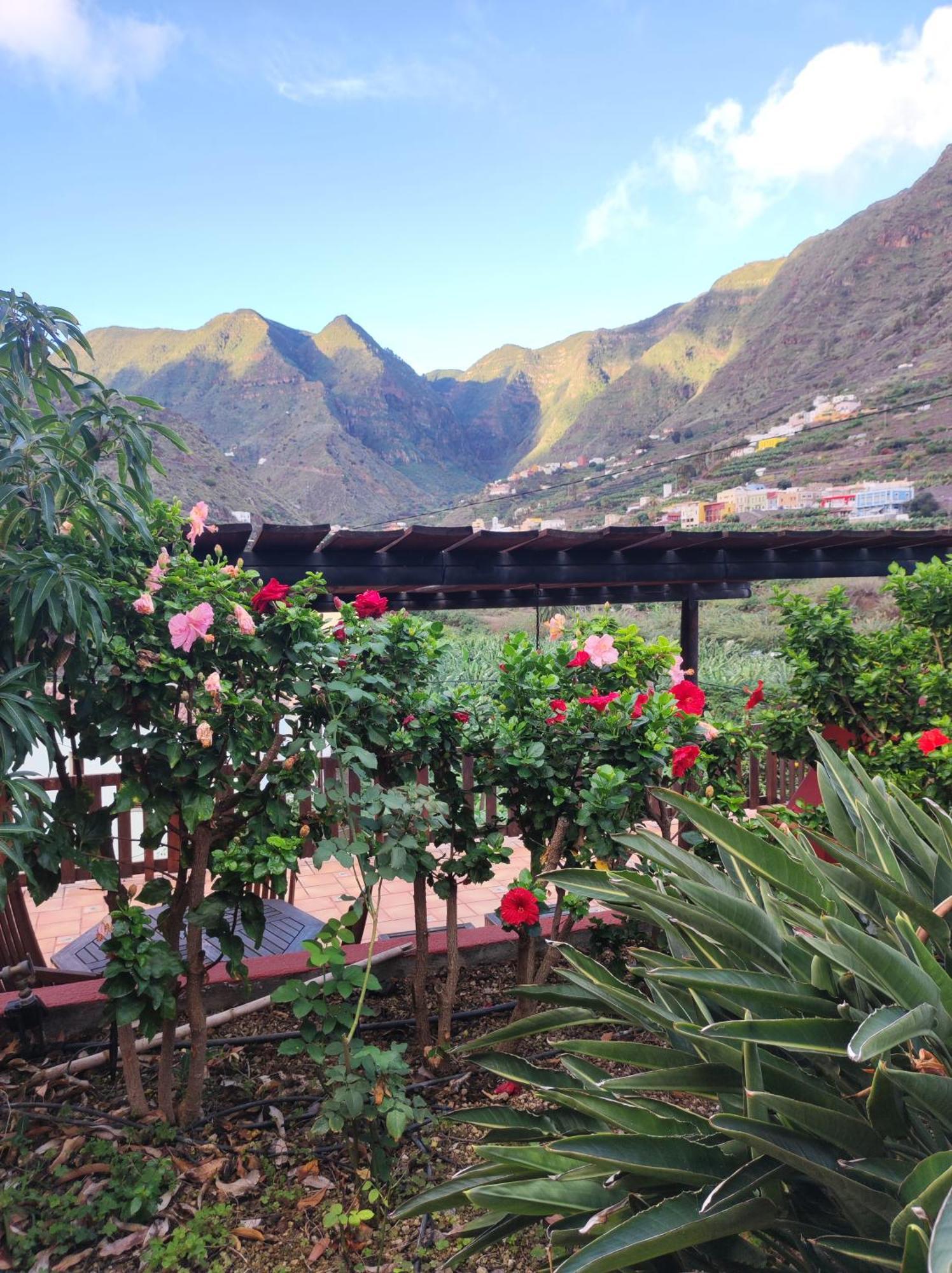 Casa Rural La Pitanga エルミグア エクステリア 写真